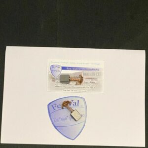 COPPIA DI SPAZZOLE PER LUCIDATRICE-LEVIGATRICE L1200 L1201 RICAMBIO 7400658
